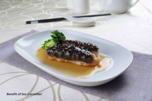 benefit of sea cucumber